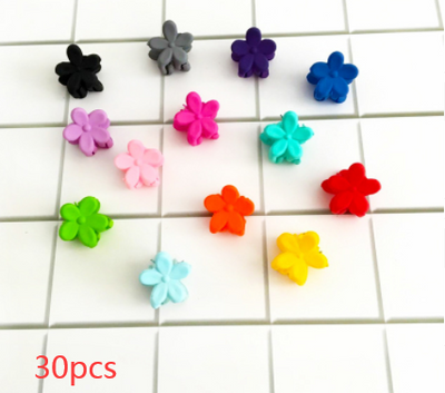 Pinza para Cabello Hyuna Pequeña Ciruela - Clip Prensador - Image 6