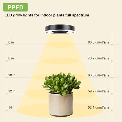 Lámpara LED de Espectro Completo para Plantas de Techo - Image 9