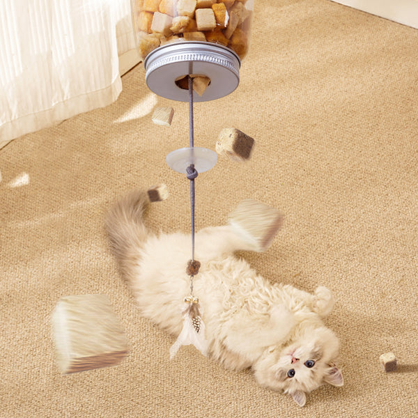 Comedero Educativo Interactivo para Gatos con Dispensador de Alimento