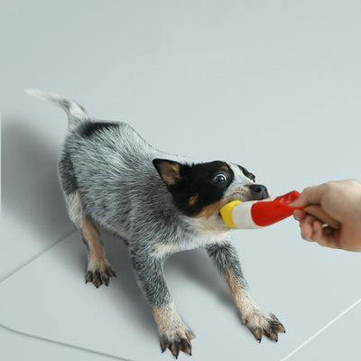 Juguete de Goma Resistente para Perros - Ideal para Masticadores Agresivos - Image 11