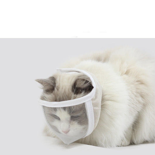 Máscara Protectora Transparente Gato Antipolvo Antimordida - Image 8