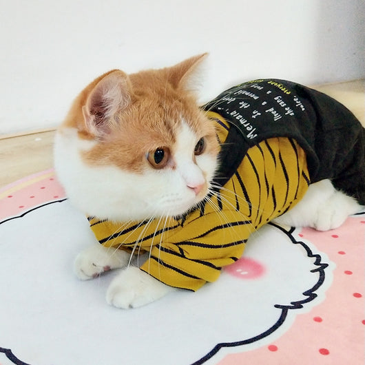 Ropa Abrigada para Gatos y Gatitos - Protección Térmica Invierno - Image 3