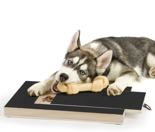 Tabla de Rascado para Uñas de Perros - Limador Natural con Caja de Premios