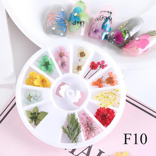 Kit de Flores Secas para Decoración de Uñas - 12 Compartimentos con Margaritas y Flores Silvestres Reales - Image 13