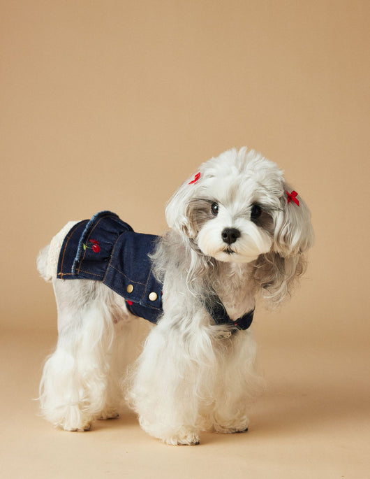 Vestido Denim de Cereza para Perras - Ropa de Primavera y Verano - Image 8