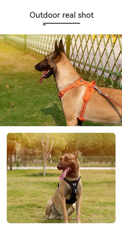 Arnés Reflectante para Perros con Cuerda de Sujeción - Image 10