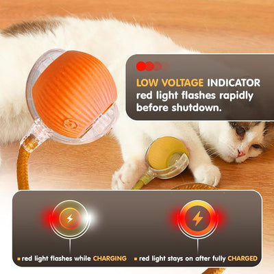 Blue and clear interactive cat ball toy with a rope, shown with three playful cats in the background. - Image 4