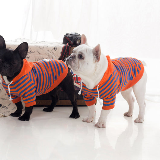 Sudadera con Capucha Térmica para Perros - Otoño e Invierno - Image 5