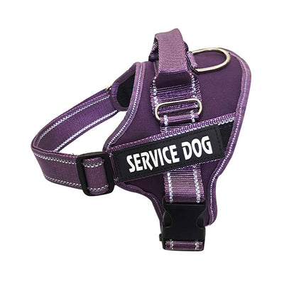 Arnés Personalizado para Mascotas - Image 2