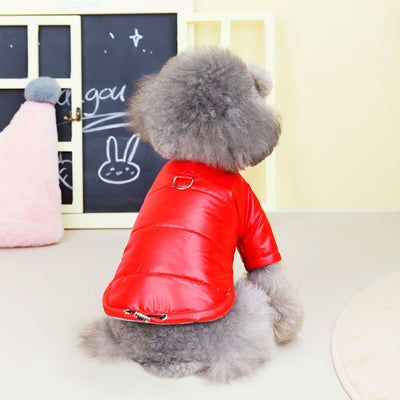 Abrigo Impermeable Teddy para Perros - Ropa de Otoño e Invierno - Image 13