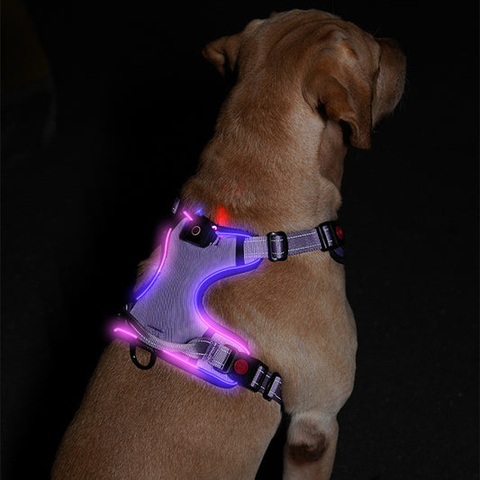 Arnés Luminoso LED Recargable para Mascotas