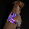 Arnés Luminoso LED Recargable para Mascotas