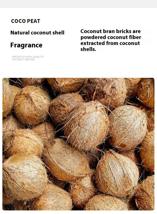 Sustrato de Coco para Plantas Suculentas - Cultivo sin Tierra - Image 13