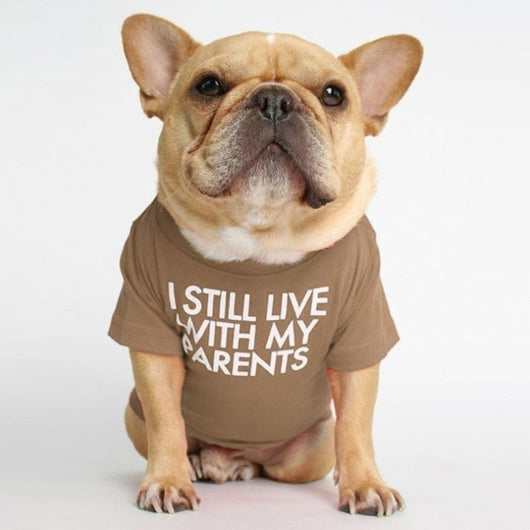 Polera Cuello Alto para Mascotas - Diseño Clásico y Cómodo - Image 20