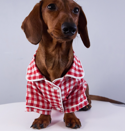 Pijamas Estilo Británico para Perros y Gatos - Image 4