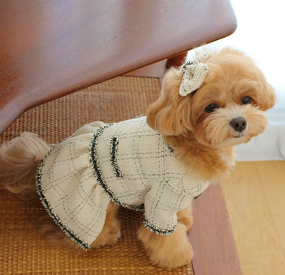 Vestido Princesa para Mascotas - Ropa Elegante para Perros y Gatos - Image 22