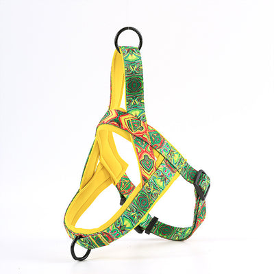 Arnés para Perro con Correa de Mano y Pechera de Soporte - Image 9
