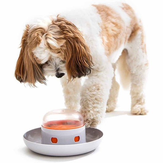 Comedero Automático Inteligente Anti-Derrames para Mascotas