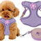 Morado