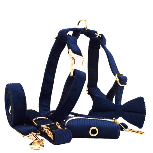 Collar y Correa para Perro en Pana Azul Marino - Cuerda de Sujeción para Exterior