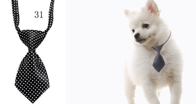 Pajarita para Mascotas - Accesorio Elegante - Image 9
