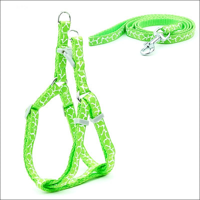 Arnés de Paseo Ajustable para Gatos y Perros Pequeños - Image 7