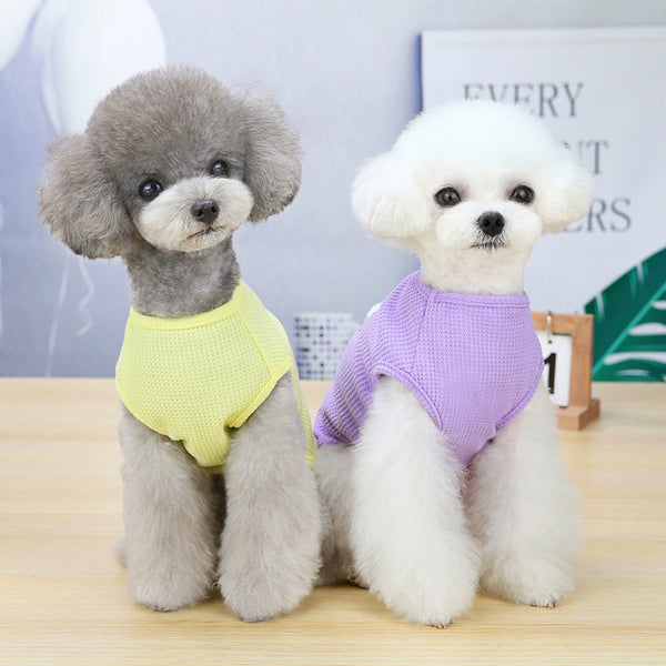 Chaleco de Moda para Perros con Bordado Elegante