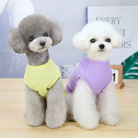 Chaleco de Moda para Perros con Bordado Elegante