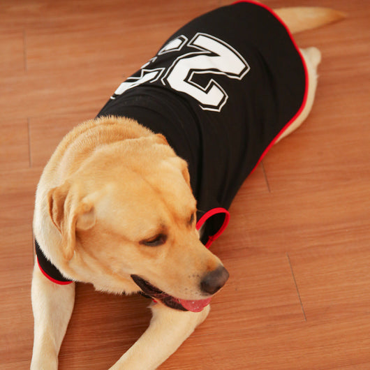 Chaleco Fresco para Perros Grandes - Tela Ligera Verano - Image 8
