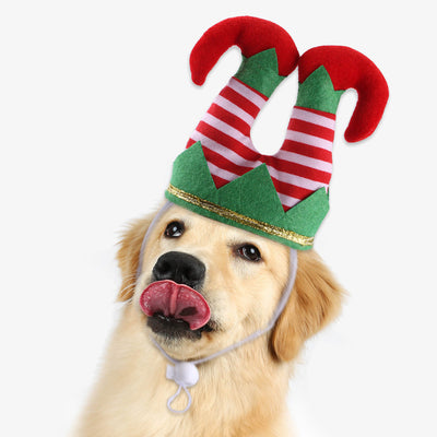 Gorro Navideño Payaso a Rayas para Mascotas - Adorno Divertido para Perros - Image 9