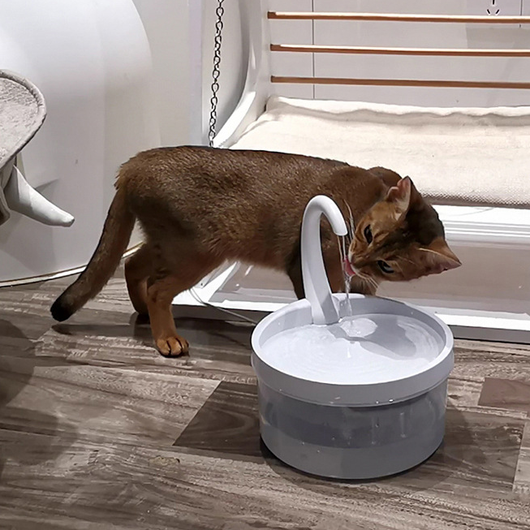 Fuente de Agua Automática Circulante para Mascotas - Image 27