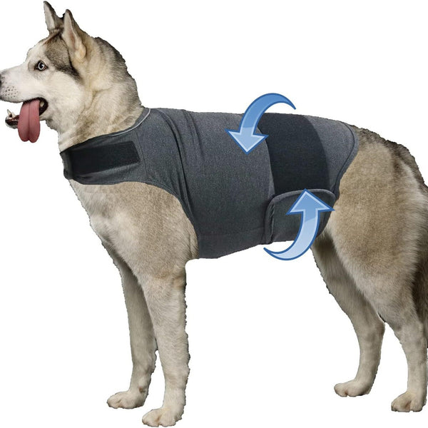 Chaleco Calmante para Perros - Prenda de Compresión contra la Ansiedad