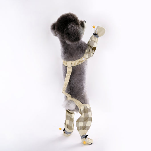 Pantalones Protectores para Perros Otoño-Invierno Ajustados Antipolvo - Image 6