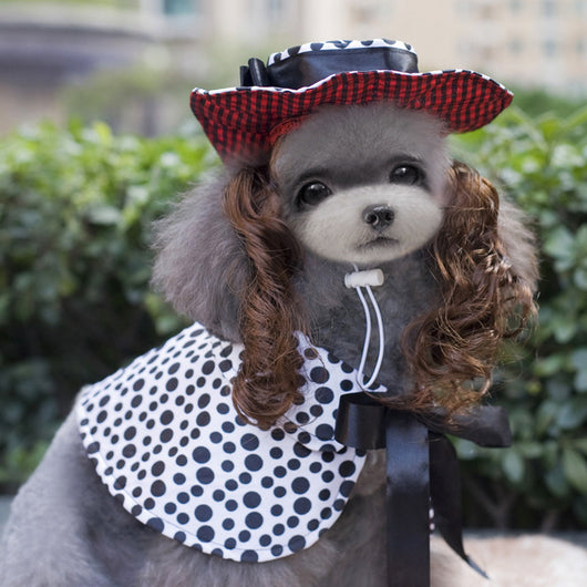 Ropa Navideña Divertida para Mascotas - Image 11