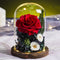 Rosa Gigante Eterna en Cúpula de Cristal - Regalo Romántico para San Valentín