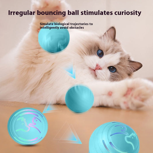 Orange intelligent electric vibration ball pet toy with light blue dog and cat silhouettes, designed for dogs and cats.