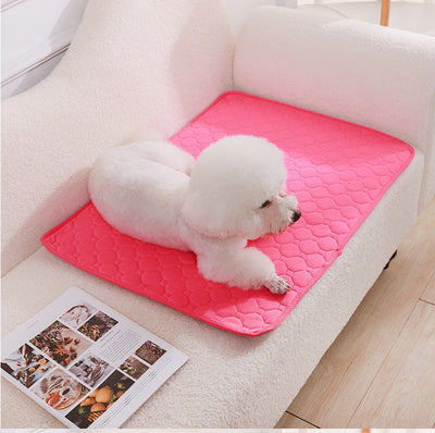 Pañal Lavable para Perros con Almohadilla Absorbente Antideslizante - Image 11