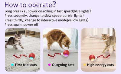 Red interactive cat toy ball with a clear outer shell, glowing blue light, and a red rope, shown with a kitten. - Image 11