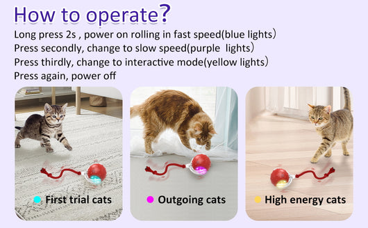 Red interactive cat toy ball with a clear outer shell, glowing blue light, and a red rope, shown with a kitten. - Image 11