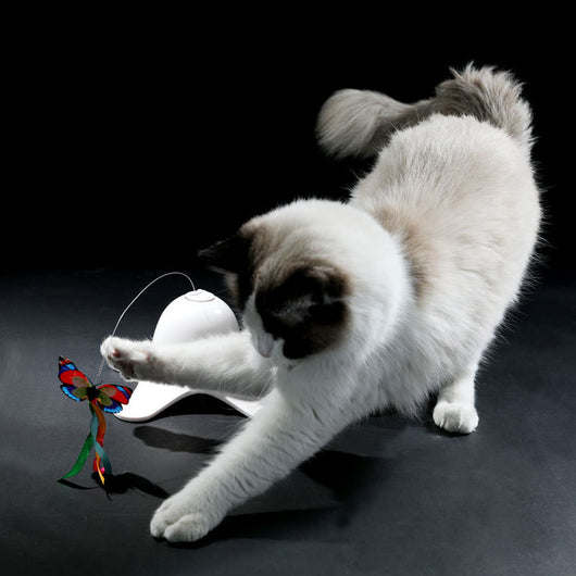 White electric cat toy with a rotating butterfly on a wire, featuring a colorful red, blue, and yellow butterfly. - Image 11