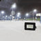 Cold White 10 W