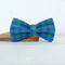 L Perro Collar Bow Tie