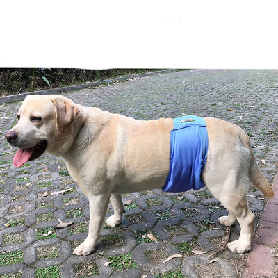 Pañal Sanitario Lavable para Perros Macho con Arnés de Sujeción - Image 4
