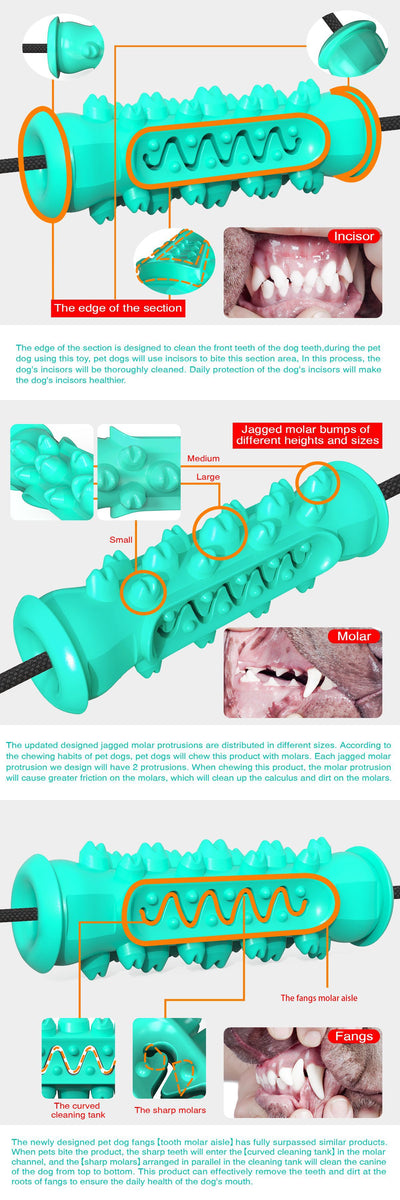 Juguete Interactivo Doble Ventosa para Perros con Masajeador Dental - Image 4
