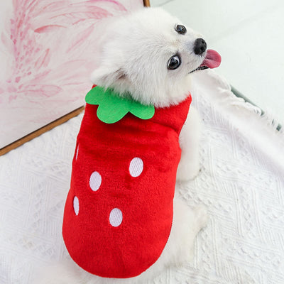 Chaleco de Abrigo para Perros y Gatos - Image 15