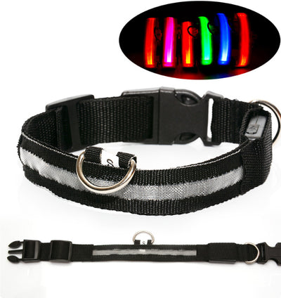 Collar LED de Seguridad para Perros - Image 11