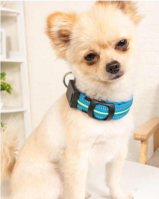 Collar Inteligente para Mascotas con Fibra Óptica, Impermeable y Carga Magnética - Image 4
