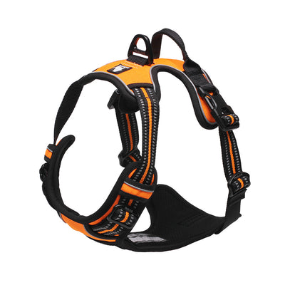 Chaleco de Protección para Perros Grandes - Image 6