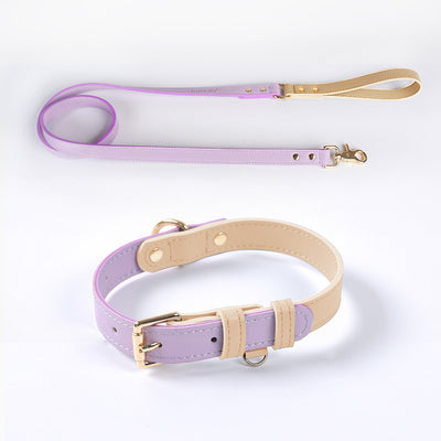 Juego de Collar y Correa para Perro en Cuero Premium - Image 3
