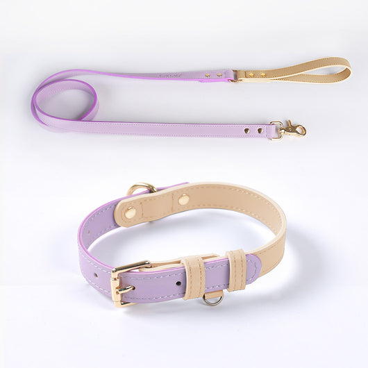 Juego de Collar y Correa para Perro en Cuero Premium - Image 3